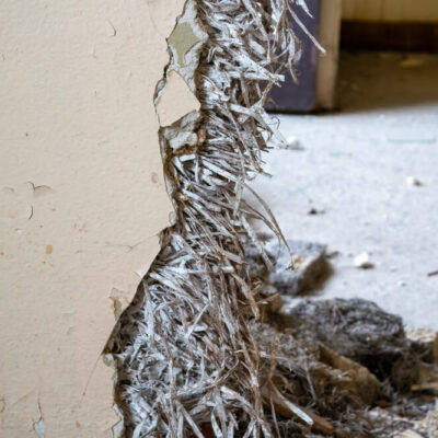 Image for choice number 7