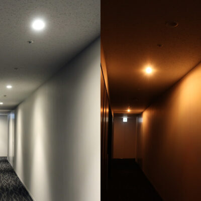 Image for choice number 16